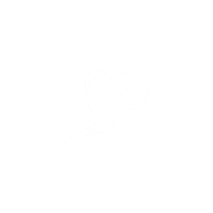 Untitled design (29)